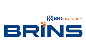 BRINS